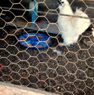 Kimberly Walters Photo 18