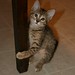 Keith Batchelder Photo 12