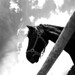 Marc Blanc Photo 6