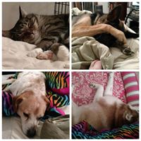 James Barnhart Photo 28