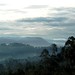 Dawn Humphreys Photo 15