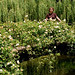 Tanya Bridges Photo 16