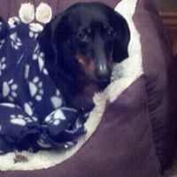 Ann Leary Photo 25 Ann Leary Photo 25