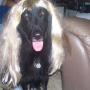 Sharon Rader Photo 19