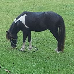 Robyn Riddle Photo 4