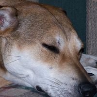 Fred Ruffin Photo 8