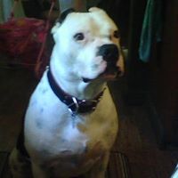 Mary Dunlap Photo 15