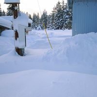 Nancy Painter Photo 23