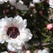 Erica Bush Photo 35