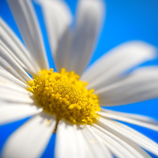 Alison Webster Photo 33