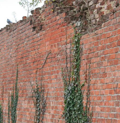 Julie Clifford Photo 22