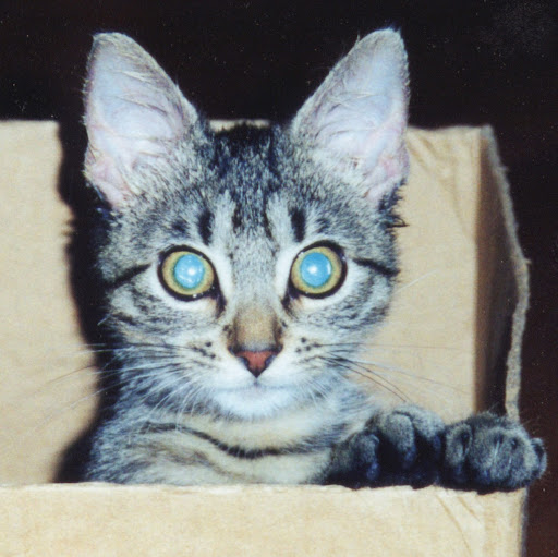 Jeff Calhoun Photo 43