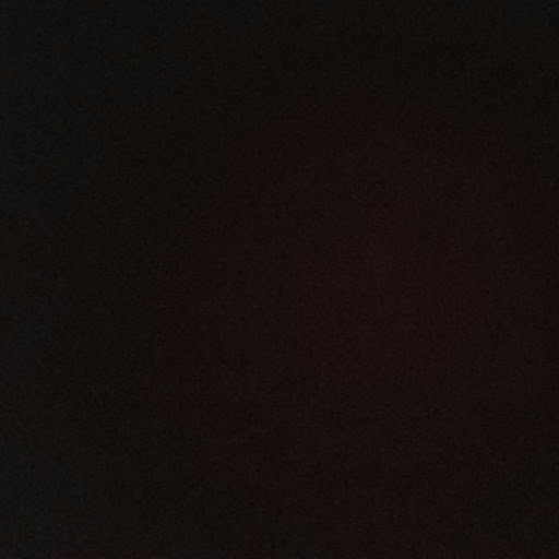 Kevin Dailey Photo 38