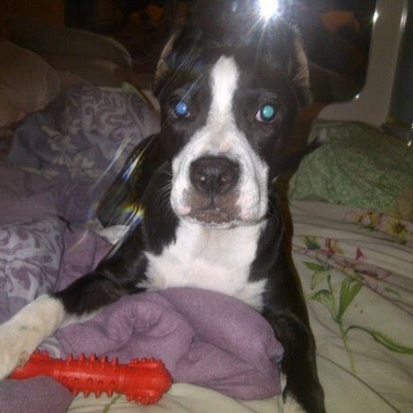 Mayra Irizarry Photo 13