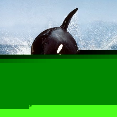 Lewis Gordon Photo 36