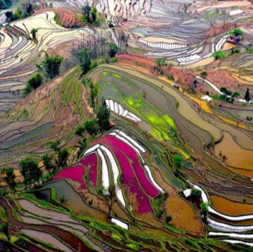 Katherine Rich Photo 25