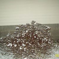 Alfred Wheeler Photo 21