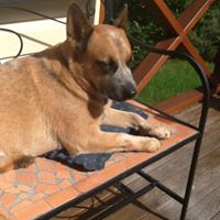 Helen Guthrie Photo 22