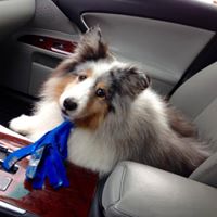 Carol Coffman Photo 26