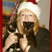 Susan Heins Photo 11