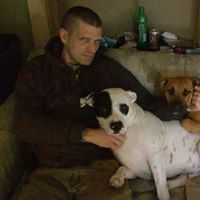 Mark Mcmullen Photo 28