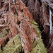 Annette Frost Photo 23