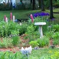 Darlene Matthews Photo 19