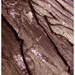 James Hata Photo 6
