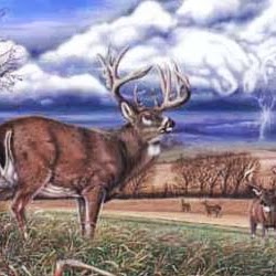 Jerry Lindsey Photo 32