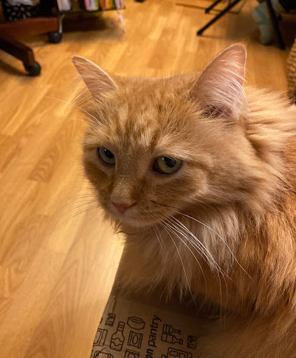 Kyle Hartman Photo 7