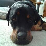 Jennifer Aldrich Photo 26