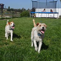 Christine Makowski Photo 4