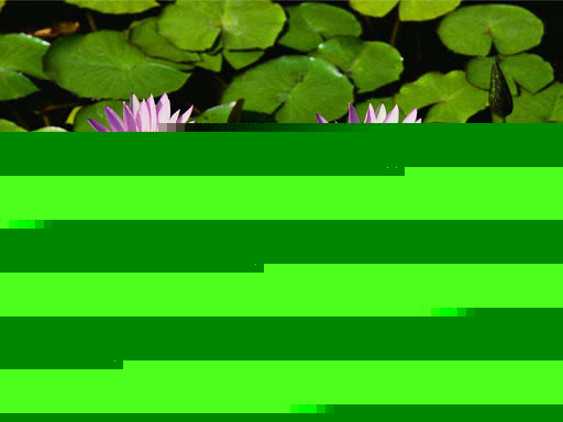 Jennifer Woodson Photo 41