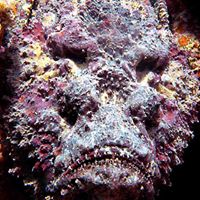 David Peake Photo 16