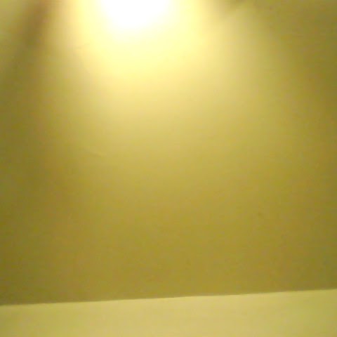 Rose Hernandez Photo 18