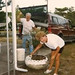 Brenda Cline Photo 20