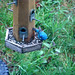 Karen Bunting Photo 31