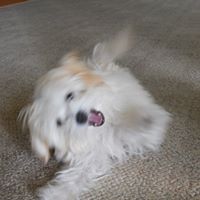 Bonnie Turner Photo 24