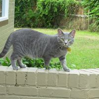 David Byers Photo 27
