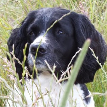 Michele Poole Photo 7