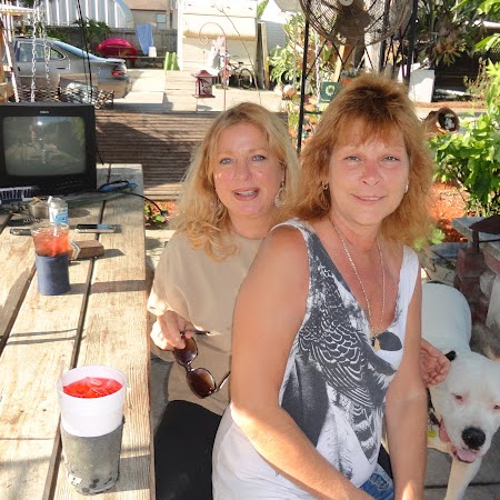 Susan Noel Photo 19