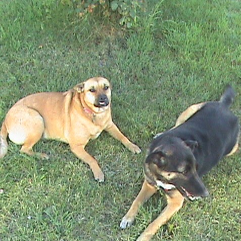 Connie Solomon Photo 11