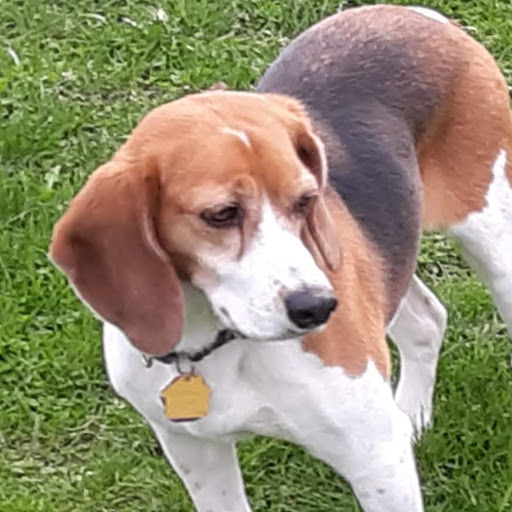 Julie Barnes Photo 41 Julie Barnes Photo 41