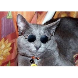 Catherine Averett Photo 3