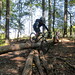 Kathy Schaeffer Photo 11