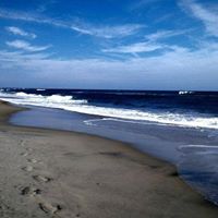 Debra Farris Photo 8