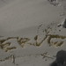 Eric Scherbarth Photo 7