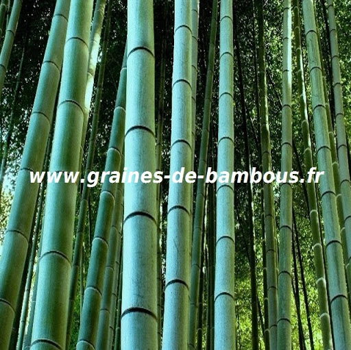 Robert Huber Photo 40