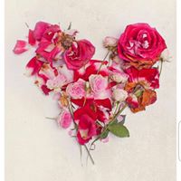 Erin Mcgraw Photo 11