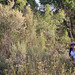 Denise Skinner Photo 11